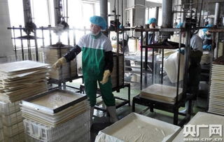 天人和 寧夏食品企業(yè)榮膺中國豆制品樣板工廠，引領健康飲食新風尚