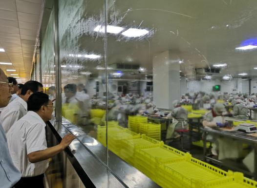 棗莊新舊動能轉換現場觀摩會之三 嶧城田園綜合體建設有新意 食品銷售領跑鄉村振興